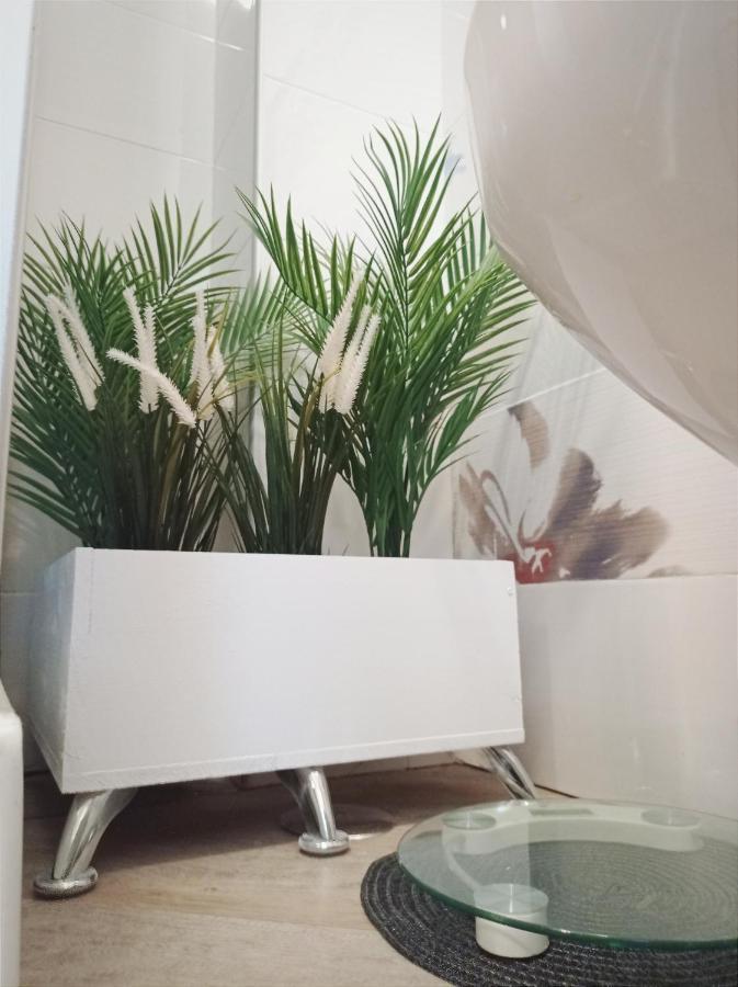 Domus Pio XI Bed & Breakfast Roma Ngoại thất bức ảnh